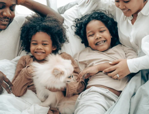 Dog or Cat Bites: Steps to Take and When to Get Help