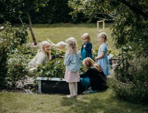 Euphorbia and Kids: The Garden Plant That Catches Parents Off Guard