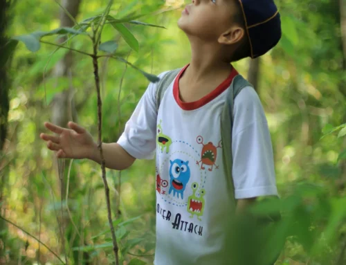 Poison Oak and Sumac: What Parents Should Know About That Mystery Rash